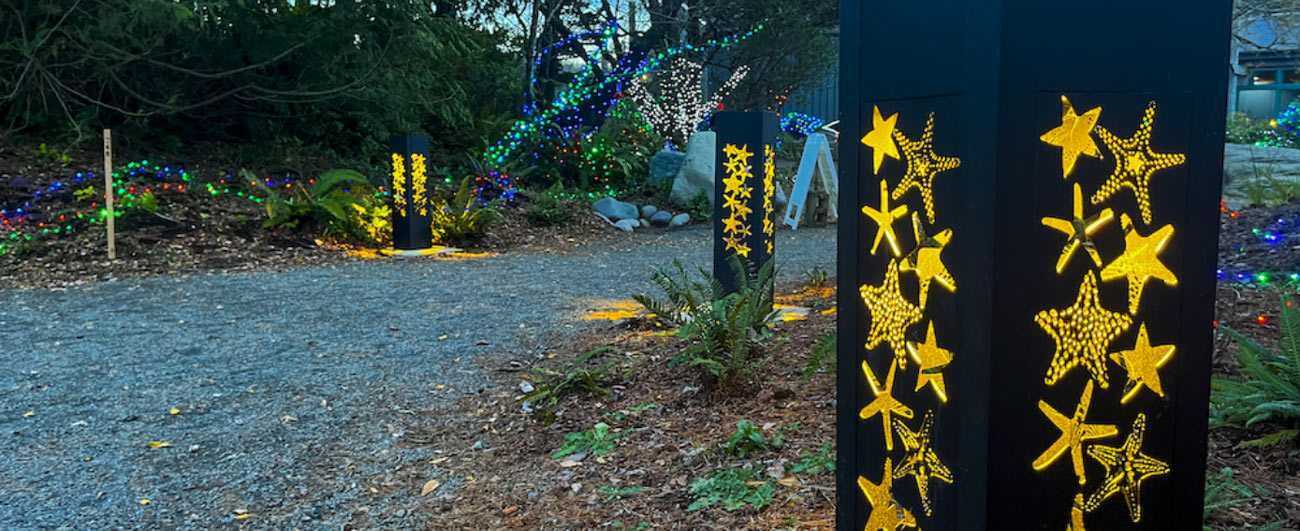 bollards with yellow glowing star shapes